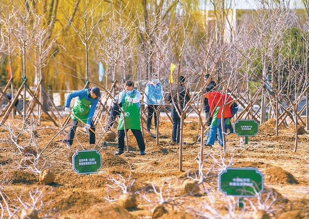首都义务植树日