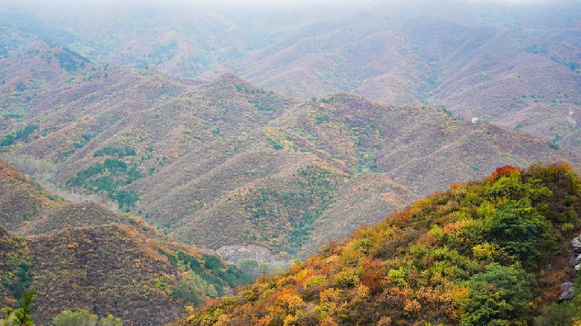 北京：百花山秋色