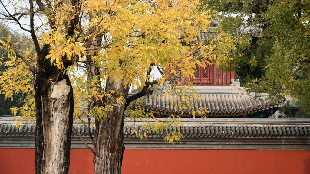 圆明园秋意盎然