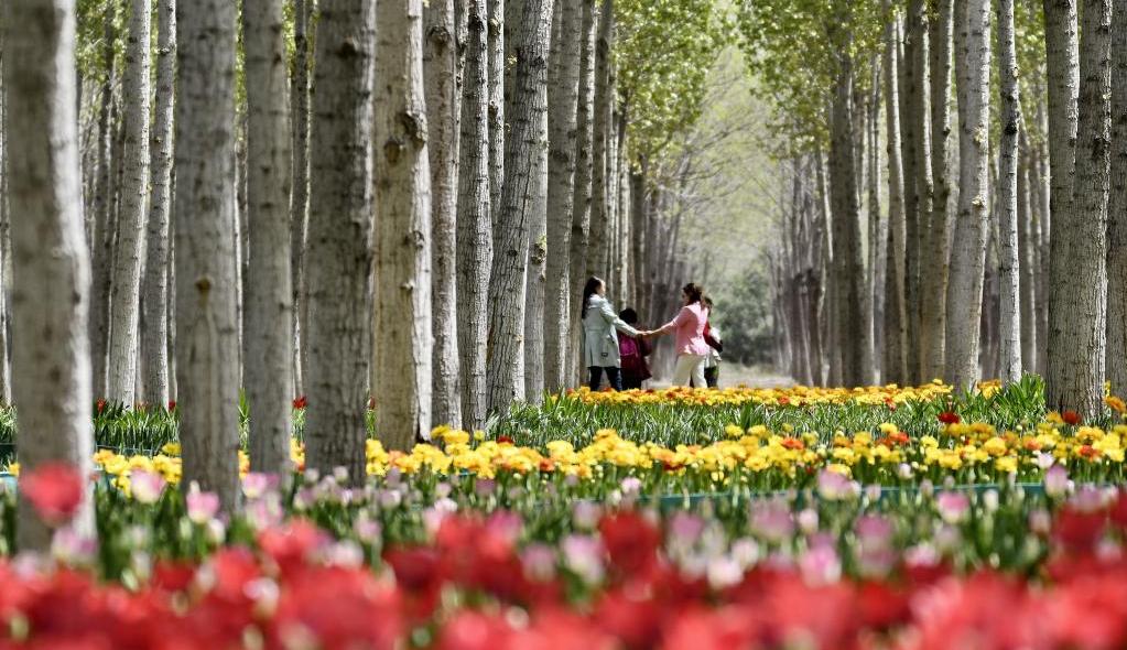 花香永定河